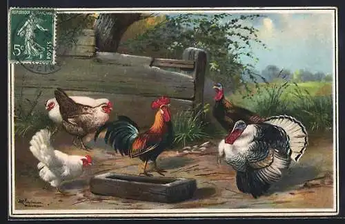 Künstler-AK Alfred Schönian: Truthahn, Hahn und Hennen am Futtertrog