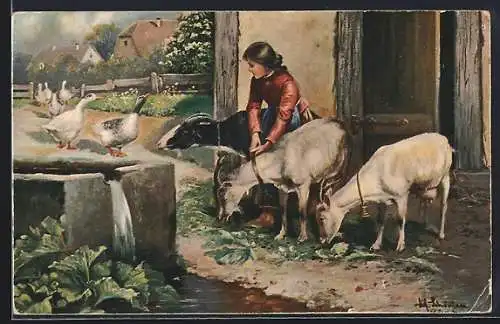 Künstler-AK Alfred Schönian: Mädchen mit Ziegen und Enten auf dem Hof