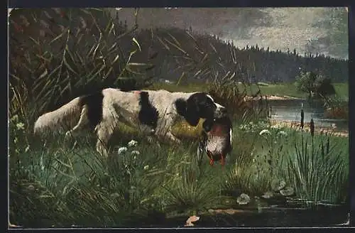 Künstler-AK Alfred Schönian: Jagdhund mit erbeuteter Ente