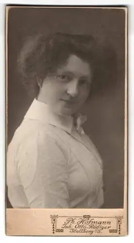 Fotografie Ph. Hofmann, Stollberg i. S., charmantes Porträt einer Dame mit struppigen Haaren