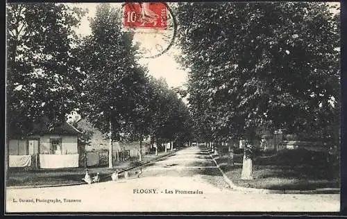 AK Flogny, Les Promenades