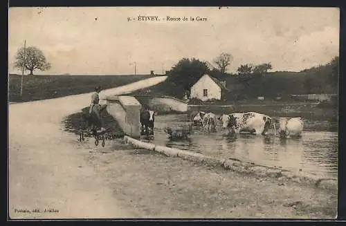 AK Étivey, Route de la Gare avec troupeau de vaches au bord de l`eau