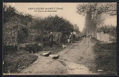 AK Saint-Julien-du-Sault, Yonne, Les Sources de Fontenottes