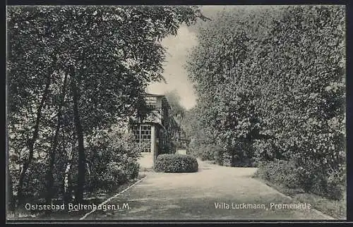 AK Boltenhagen i. M., Ostseebad, Villa Luckmann, Promenade