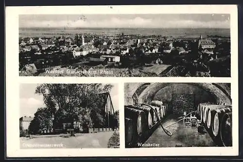 AK Guntersblum /Rhein, Gruppenwasserwerk, Inneres Weinkeller, Teilansicht