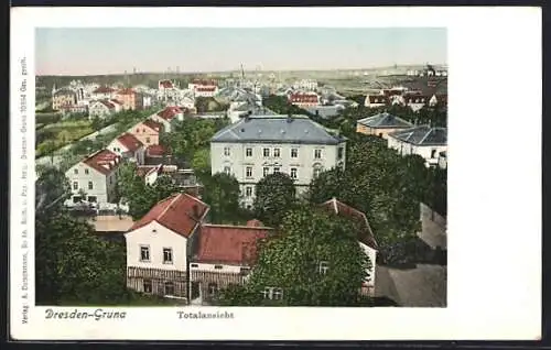 AK Dresden-Gruna, Totalansicht mit Strassenpartie