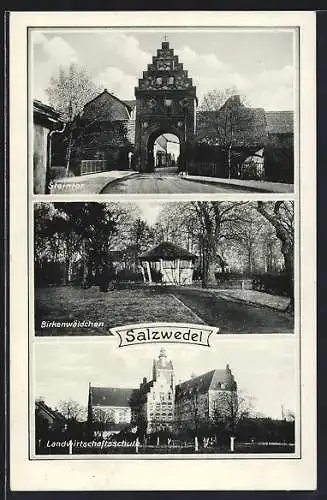 AK Salzwedel, Steintor, Birkenwäldchen, Landwirtschaftsschule