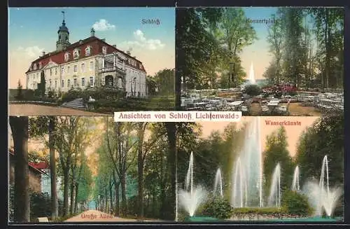 AK Niederwiesa, Schloss, Grosse Allee, Wasserkünste, Konzertplatz
