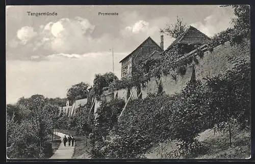 AK Tangermünde, Promenade