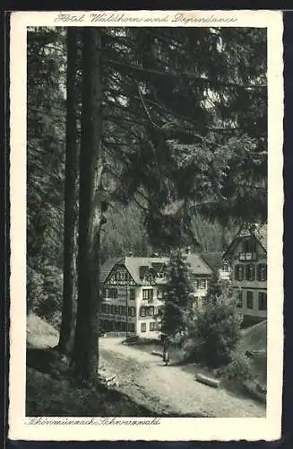 AK Schönmünzach /Schwarzwald, Hotel Pension u. Restaurant Zum Waldhorn von J. Scherer & Fr. Bader