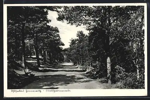 AK Zinnowitz, Die Waldpromenade