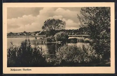 AK Kölpinsee /Usedom, Partie an der Insel