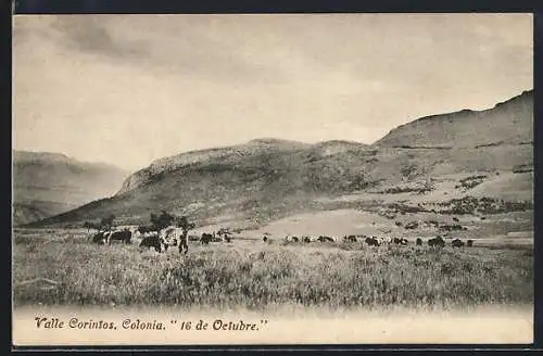 AK Colonia, Valle Corintos