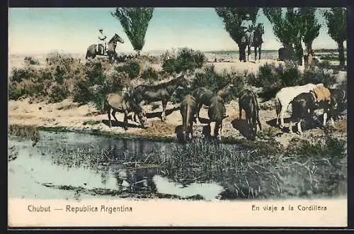 AK Chubut, En viaje a la Cordillera