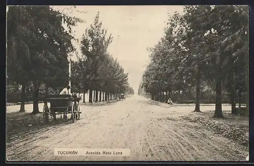AK Tucumán, Avenida Mate Luna