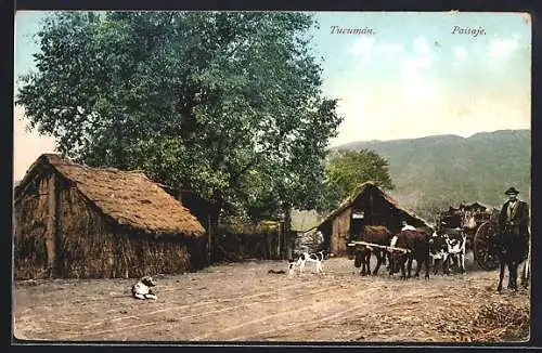 AK Tucumán, Paisaje