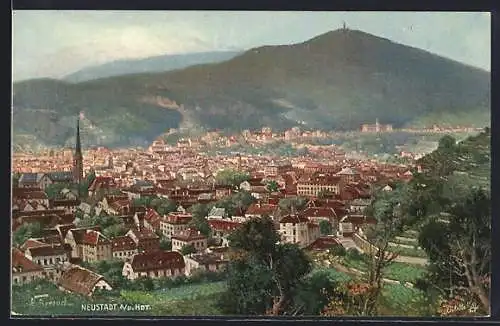 AK Neustadt / Haardt, Gesamtansicht