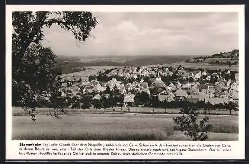 AK Stammheim / Calw, Ortsansicht mit Blick ins Tal