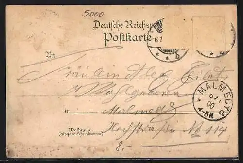 Lithographie Köln, Totalansicht der Stadt, Dampfer