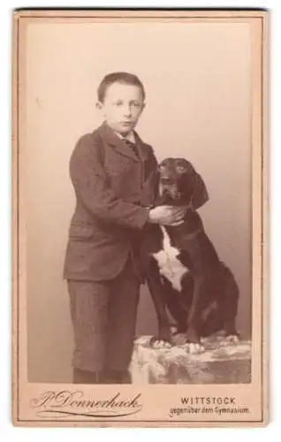 Fotografie P. Donnerhack, Wittstock, gegenüber dem Gymnasium, Junge mit seinem Hund