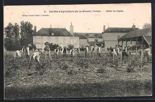 AK Venoy, Société d`Agriculture de La Brosse, Yonne, Dans la vigne