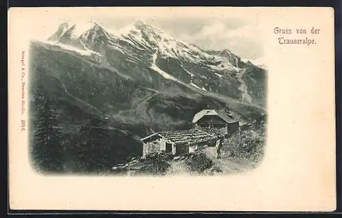 AK Bruck an der Grossglocknerstrasse, Trauneralpe, Gasthof mit Bergpanorama