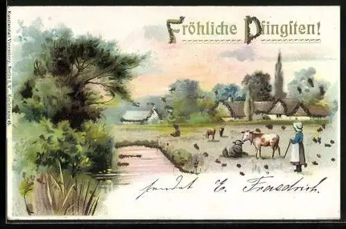 AK Kühe auf einer Weiden mit Blick auf einen Ort, Fröhliche Pfingsten