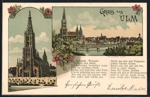 Lithographie Ulm / Donau, Ulmer Münster, Gesamtansicht