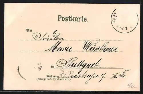 Lithographie Ulm / Donau, Ulmer Münster, Gesamtansicht