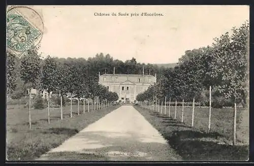 AK Escolives, Château du Saule près d`Escolives et allée bordée d`arbres