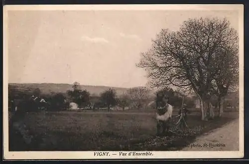 AK Venizy, Vigny, Vue d`Ensemble