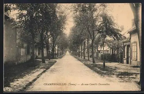 AK Champignelles /Yonne, Avenue Camille Desmoulins bordée d`arbres
