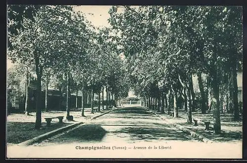AK Champignelles /Yonne, Avenue de la Liberté