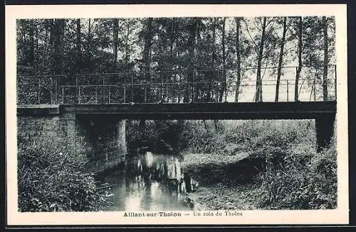 AK Aillant-sur-Tholon, Un coin du Tholon