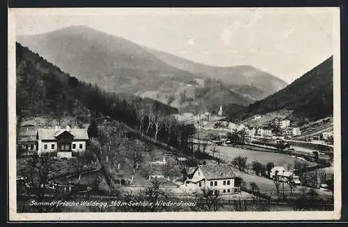 AK Waldegg /Niederdonau, Gesamtansicht mit Bergpanorama