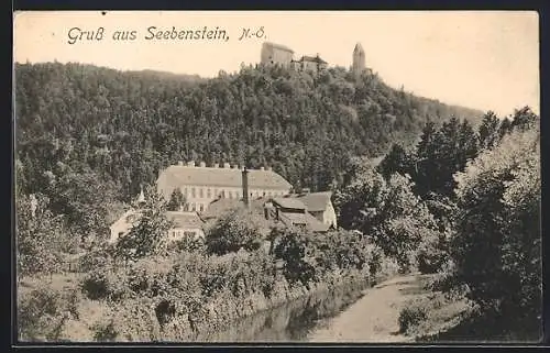 AK Seebenstein /N.-Ö., Ortsansicht mit Gewässer und Burg