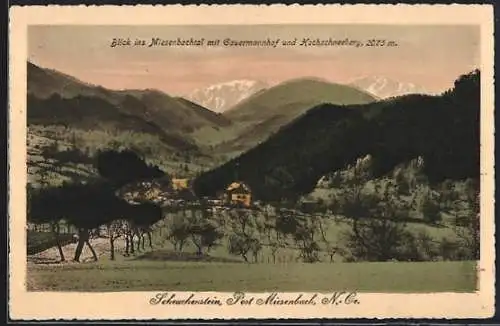 AK Scheuchenstein /Miesenbach, Ortsansicht, Miesenbachtal mit Gauermannhof u. Hochschneeberg