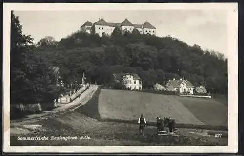 AK Neulengbach /N.-Ö., Villen, Strasse und Burg, mit pflügendem Bauer