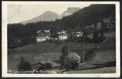 AK Zell am Ziller, Weidachhof, Panorama mit Strasse u. Gerloswand