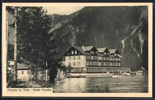 AK Plansee in Tirol, Hotel Forelle, vom Wasser gesehen