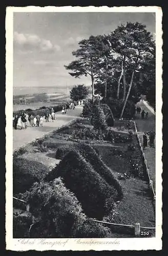 AK Heringsdorf / Ostseebad, Promenade am Fischerstrand
