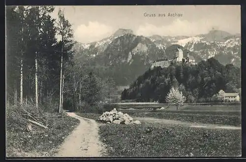 AK Aschau / Prien, Schloss mit Berglandschaft