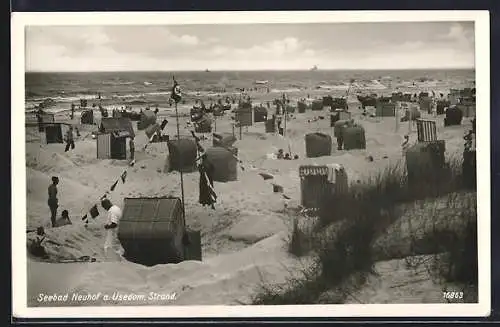 AK Neuhof / Seebad, Blick auf den Strand, 