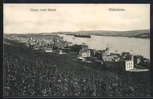 AK Rüdesheim / Rhein, Ortsansicht mit Fluss