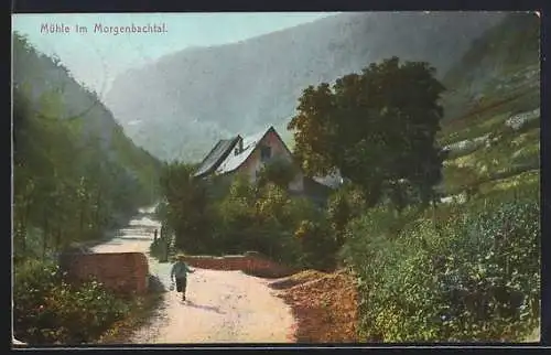 AK Bingen / Rhein, Mühle im Morgenbachtal