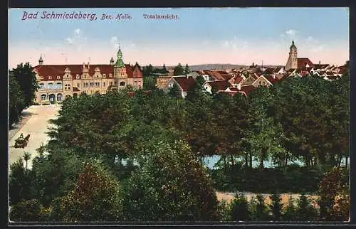 AK Bad Schmiedeberg, Totalansicht vom Ort