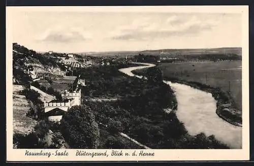 AK Naumburg-Saale, Blütengrund und Blick a. d. Henne