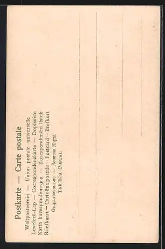 AK Virdois, Torisevajärvi