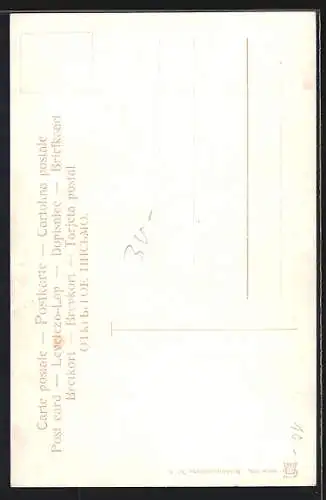 Künstler-AK Fritz Quidenus: Soldat mit Gewehr, Bierkrug und Krummsäbel, Pfaue auf Säulen, Biedermeier