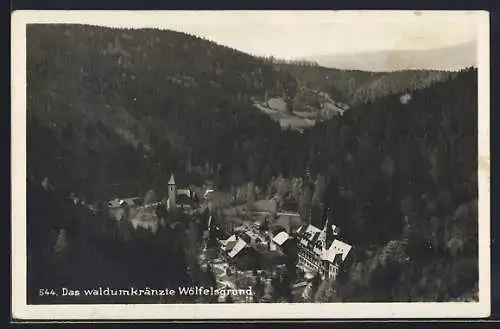 AK Wölfelsgrund, Ortsansicht mit Waldlandschaft